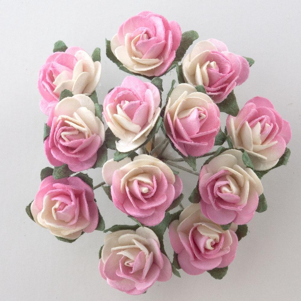 Paper Tea Rose - Pink/Cream