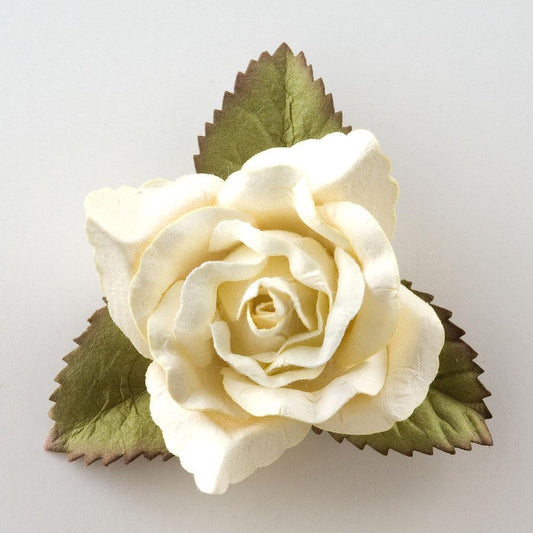 Large Open Rose - Cream