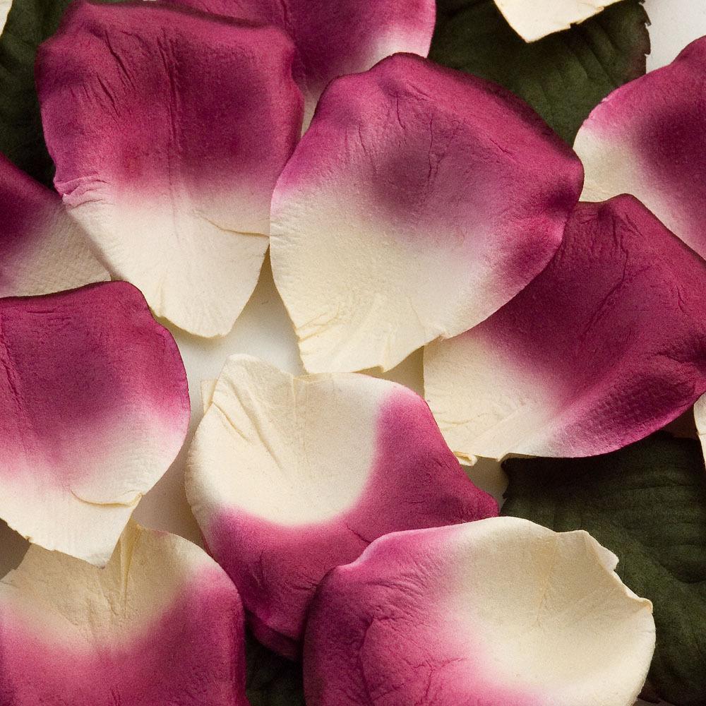 Paper Rose Petals - Ivory/Fuchsia