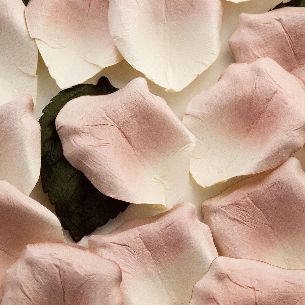 Paper Rose Petals - Shell Pink