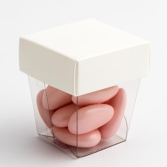 Tapered Transparent Box with Powder White Lid
