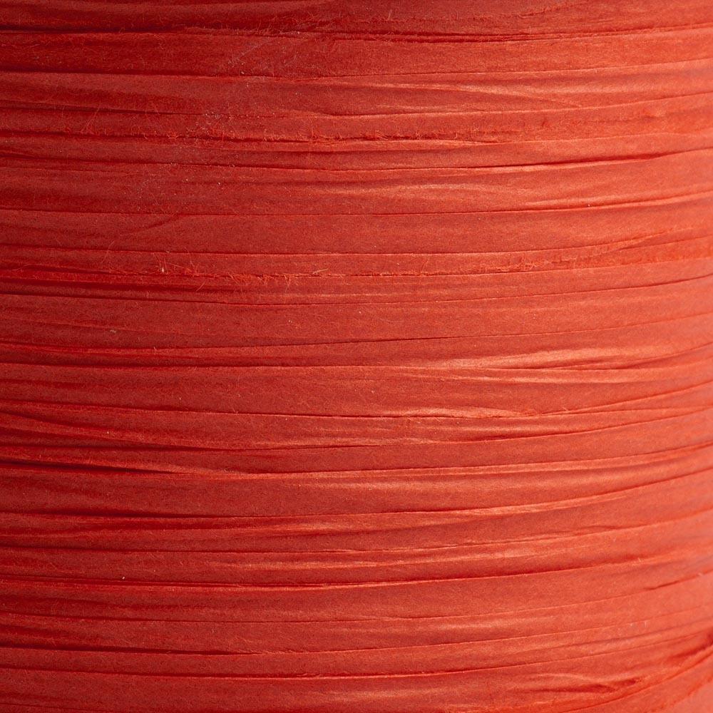Paper Raffia Ribbon - Red