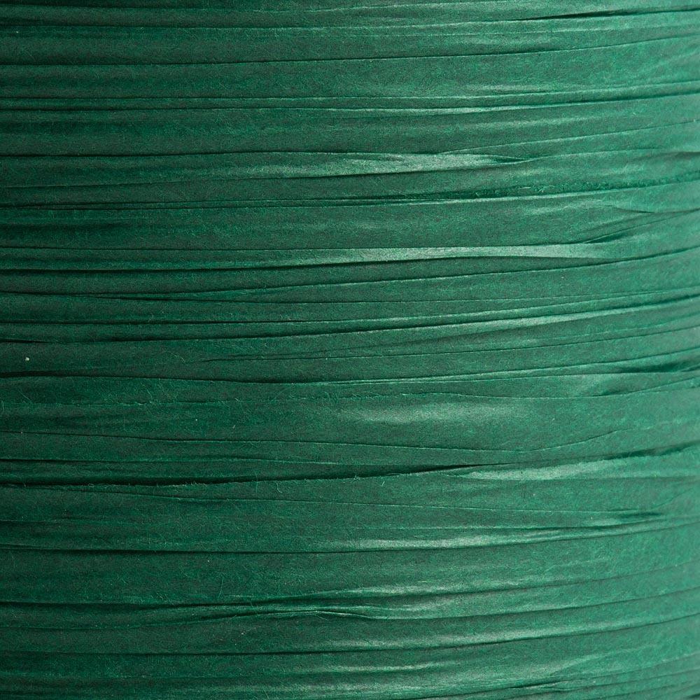 Paper Raffia Ribbon - Bottle Green
